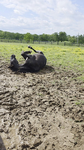 tGYDJ 55t5LKxS9j.jpg