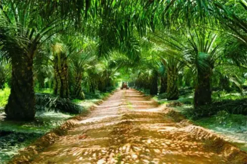 3329331 1747927137.webp