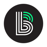 RGB Bug Black Green White