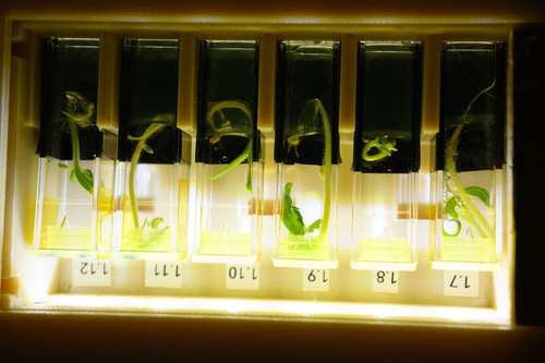 GrUv14OWMAAt ju?format=jpg.jpg