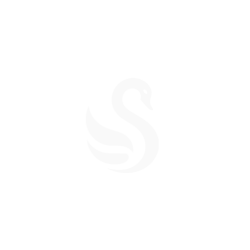 Proyecto nuevo (55).png