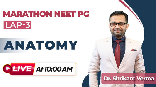 WhatsApp Image 2025 05 22 at 2.05.16 PM.jpg