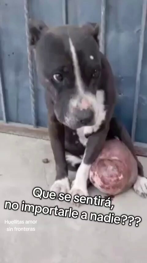PEVdCjwvQEyqeDGK.jpg