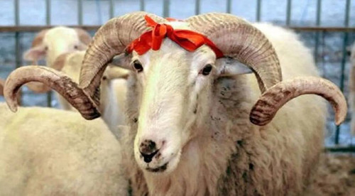 bngkkmaXGKdTS2nMzckFddaOPfK63VDcsOggLZDGrwJxeE4BoR fv4QFGpSlbwUBTGvFcfUV L7qjOXZ6KoIWdnL6DhhM9Df5 rQ.jpg