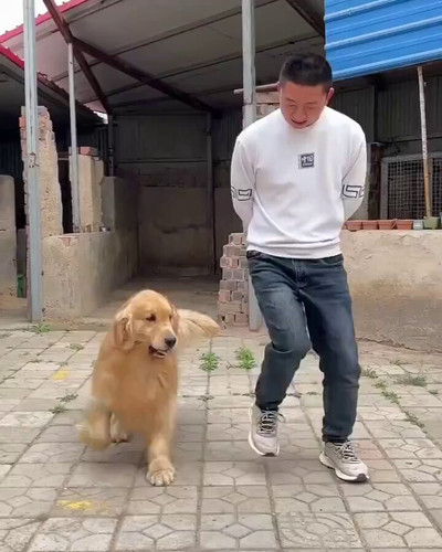 RMHUOK8xPa4ujkUn.jpg