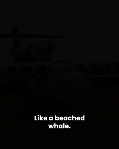 ipuZMk7HObXXJfBq.jpg