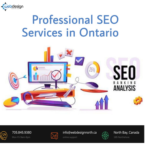 Professional SEO Services in Ontario.jpg