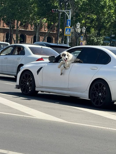 494074126 1042328961211345 5314586344407671507 n.jpg?stp=dst jpg p526x296 tt6& nc cat=107&ccb=1 7& n.jpg