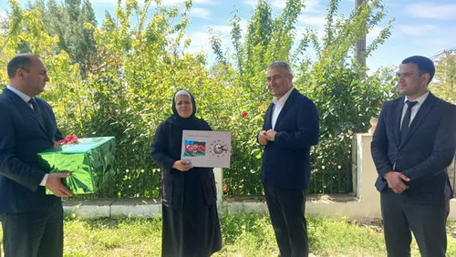 499735993 1241343774058882 2276254410085087955 n.jpg?stp=dst jpg s600x600 tt6& nc cat=105&ccb=1 7& n.jpg