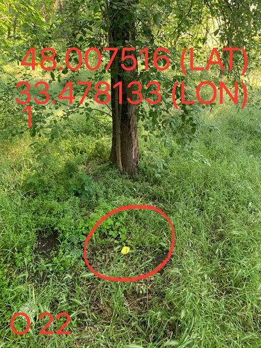 5292062624445496508.jpg