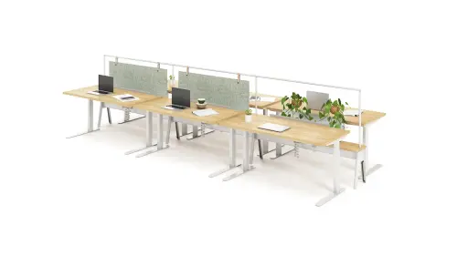 230808 Pair Yahoo Olli A1 RNDR.webp