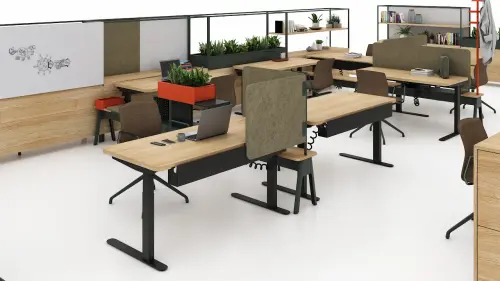 220324 Youtube SBO NBRD Olli Detail Shot 01 RNDR.webp