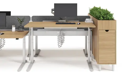 231012 Pair Zai 02 RNDR.webp