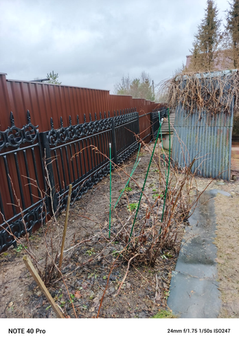 IMG 20250325 WA0118.png