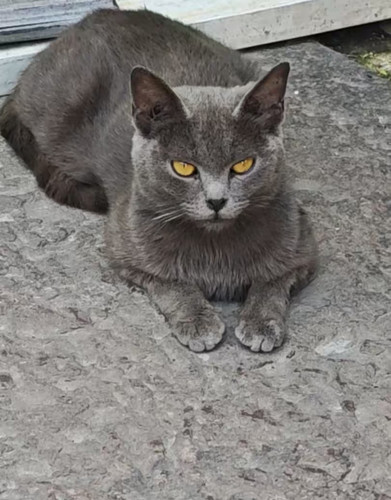 image 1747985865904.jpg