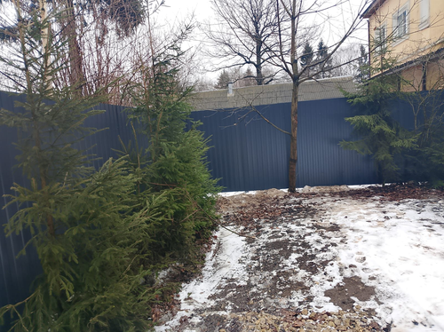 IMG 20250307 WA0112.png