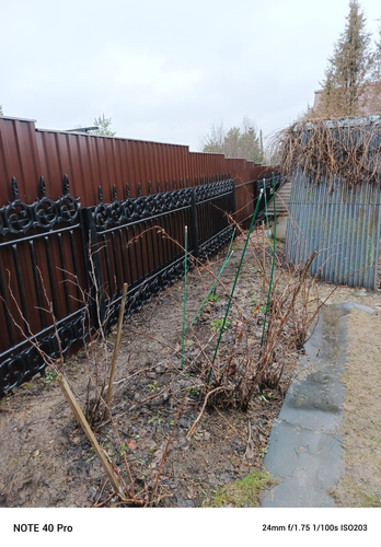 IMG 20250325 WA0111.png