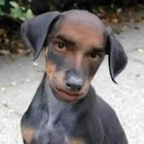 file.webp