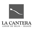 Logo 13