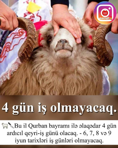 i1PYAL1bx3LbAtbz38Oixf94qUdLmYodicMipVBQQU0HJfgOdpAz8PssfcYL1fm3nP7h4Z7E9rtG1nv56swP itMYnXhnIgz3y p.jpg