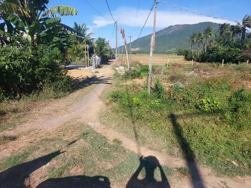 495020574 3195645897242720 8917357610932778462 n.jpg