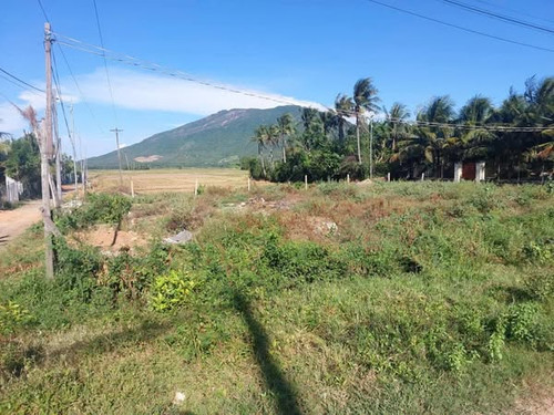 493964093 3195645860576057 5468883668797631613 n.jpg