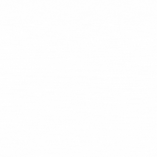 Stage.gif