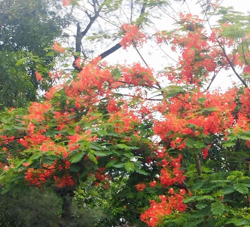 JPEG 20250522 192942 3308549852171574487.jpg