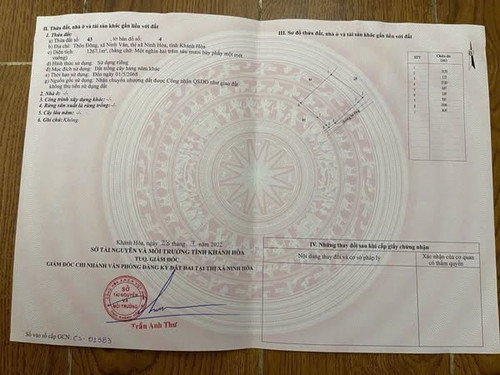 500102648 701049195771310 7317781065583579238 n.jpg