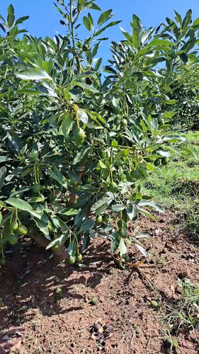 yDJryeGtjDfQ AGF.jpg