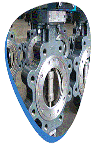 ss triple offset butterfly valve.gif