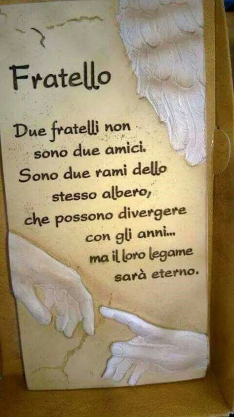 Immagine WhatsApp 2025 04 04 ore 11.38.35 c3310d1f.jpg