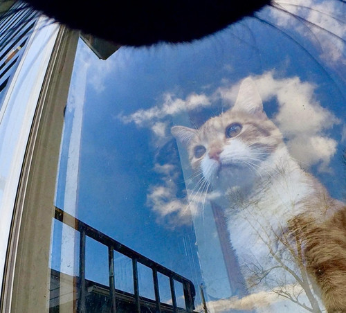 489820347 649713711379675 2455465819130510937 n.jpg