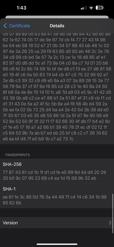 IMG 0037.png