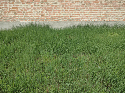 1000000080.jpg
