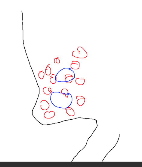 paintdotnet 0wHQuFBj8I.png
