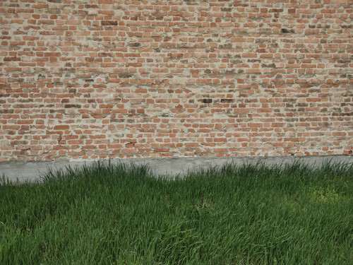 1000000079.jpg