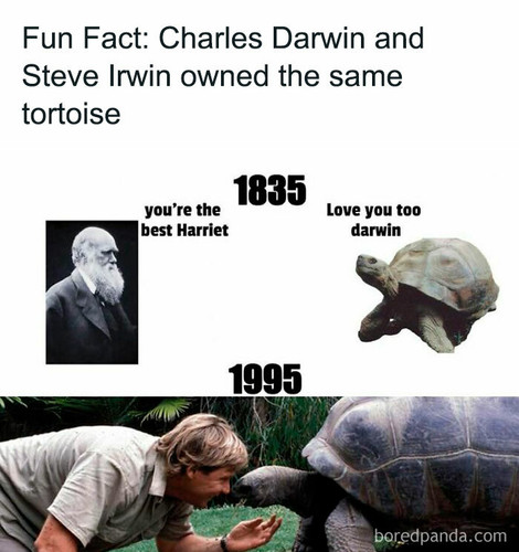 smart history memes 4 672a1bbc2d610 700.jpg