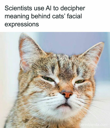 wholesome interesting global news 20 67f39e1fe45bf 700.jpg