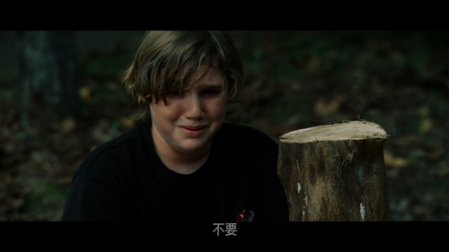 The.Amityville.Horror.2005.2160p.UHD.Blu ray.Remux.DV.HEVC.DTS HD.MA5.1 HDS.mkv 005251.888.png