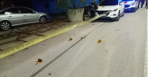 18270842668002166102?url=https%3A%2F%2Fvloranews.al%2Fwp content%2Fuploads%2F2025%2F04%2F640 0 divja.jpg