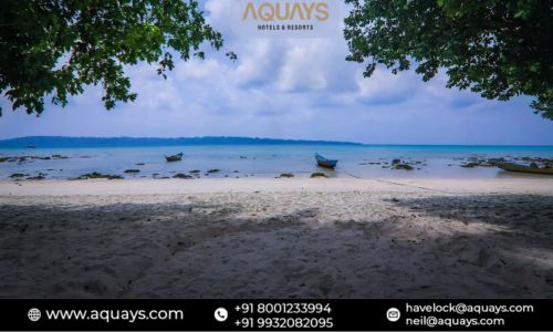 5 Must-Try Cuisines at Top Luxury Resorts in Havelock.jpg