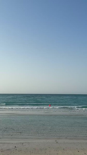 e3wisbGdTDExMXUl.jpg