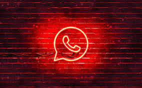 file 1744190603668.jpg