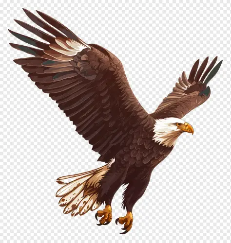 transparent wings bald eagle flying with spread 1710884443977.webp