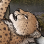 New Cheetah icon.png