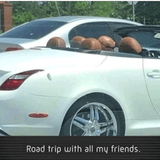 travel meme 52 480.png