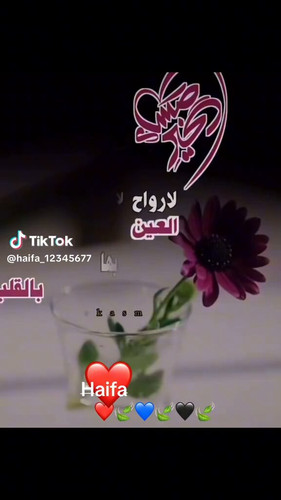 YQ0LFEEQJsr4DTPe.jpg