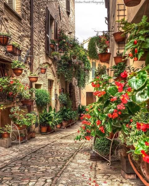 489860383 992603076309594 4663109165259064793 n.jpg?stp=dst jpg p480x480 tt6& nc cat=107&ccb=1 7& nc.jpg