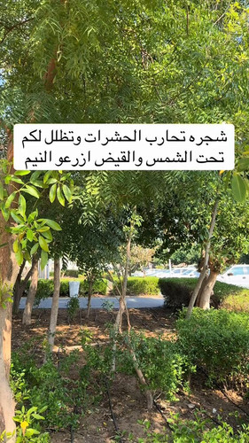 vtv52rkEb3nCYj6i.jpg